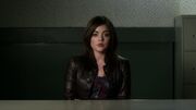 PLL301-0876.jpg