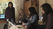 PLL201 (12)