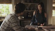 PLL210-00520.jpg