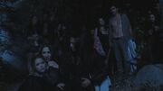 PLL215-01229.jpg
