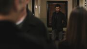 PLL212-01123.jpg