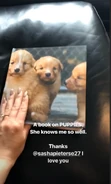 Sasha's TP wrap-gift to Janel