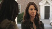 PLL212-00061.jpg