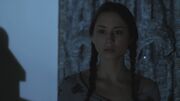 PLL118-0103.jpg