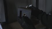 PLL211-01250.jpg