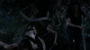 7x04s-1.png