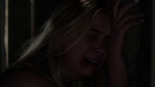 7x20s-30.png