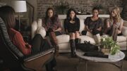 PLL201-0536