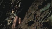 PLL114-0470.jpg