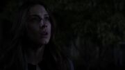Pll604 361.jpg