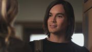 PLL116-0265.jpg