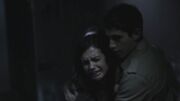 Wren10.jpg
