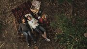 PLL119-0953.jpg