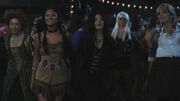 PLL213-00879.jpg