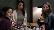PLL303-0712.jpg