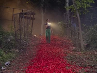 PLL-SS 205 Noa Still