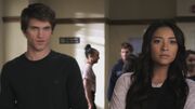 PLL214-00554.jpg