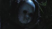 PLL213-01287.jpg