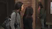 PLL120-0510.jpg