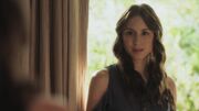PLL210-00882.jpg