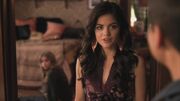 PLL116-0436.jpg