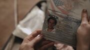 PLL204-0592.jpg