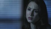 PLL109-01120.jpg