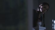 PLL113-0016.jpg