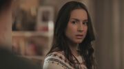 PLL120-0038.jpg