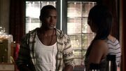 PLL304-0162.jpg