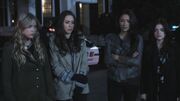PLL122-1219.jpg