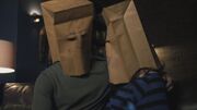 PLL121-1018.jpg