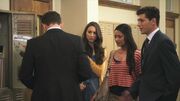 PLL108-00728.jpg