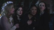 PLL225-01240.jpg