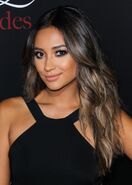 Shay smile