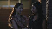 PLL114-0704.jpg