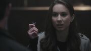 PLL122-1053.jpg