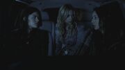 PLL208-00004.jpg