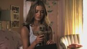 PLL213-00479.jpg
