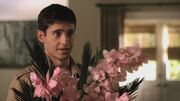 Wren11.jpg