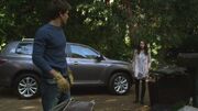 PLL225-00472.jpg