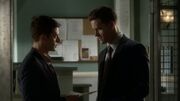 PLL304-0403.jpg