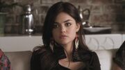 PLL201-0508.jpg