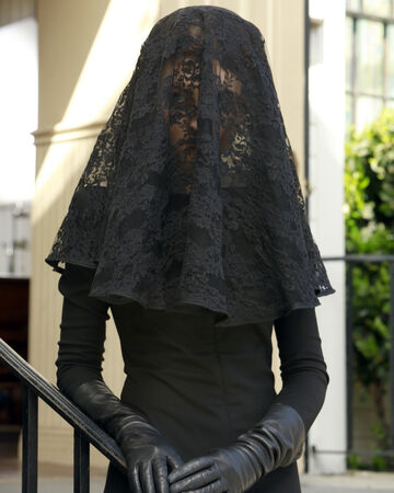 Black Widow Pretty Little Liars Wiki Fandom