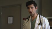 Wren14.jpg