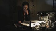 PLL211-01072.jpg