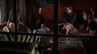 PLL 5x23 (30)