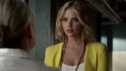 PLL304-0143.jpg