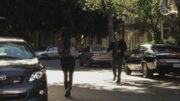 PLL122-0595.jpg