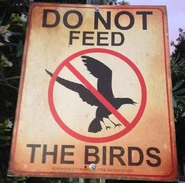 DO NOT FEED THE BIRDS.jpg (117 KB)